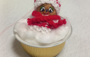 Bras d'or 16 décembre 2025